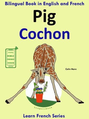 cover image of Learn French